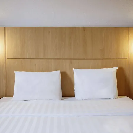 Ibis 3*